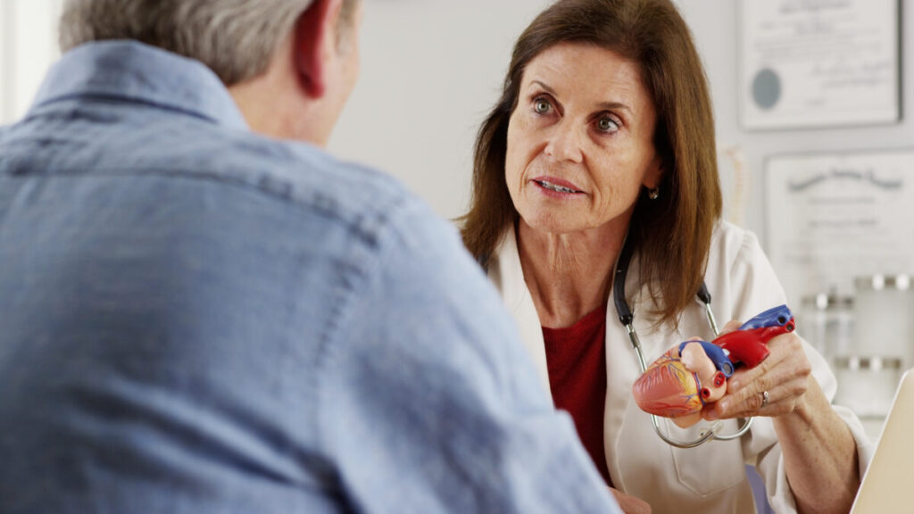 Female doctor speaking to an older male heart patient, while she is holding a model of the heart